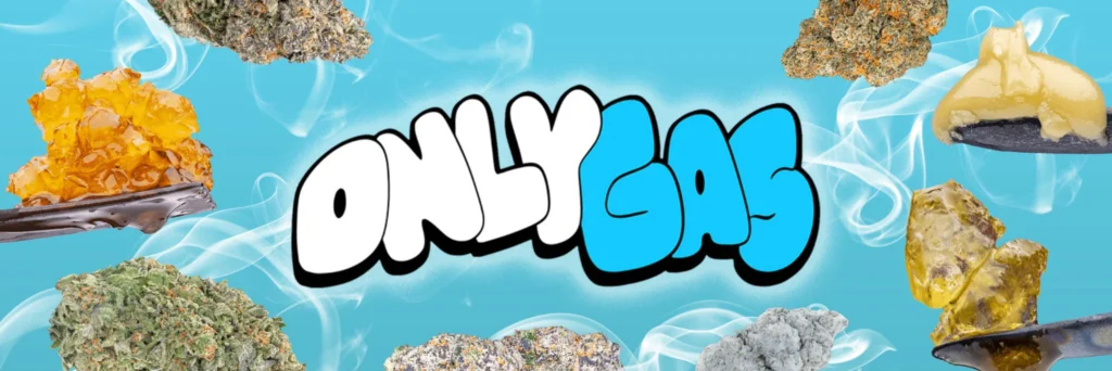 Shop the Only Gas THCa Flower Baysmokeshop