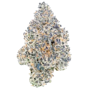 Bulk Discount Indoor Flower For Sale